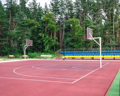 flooring for basketball court